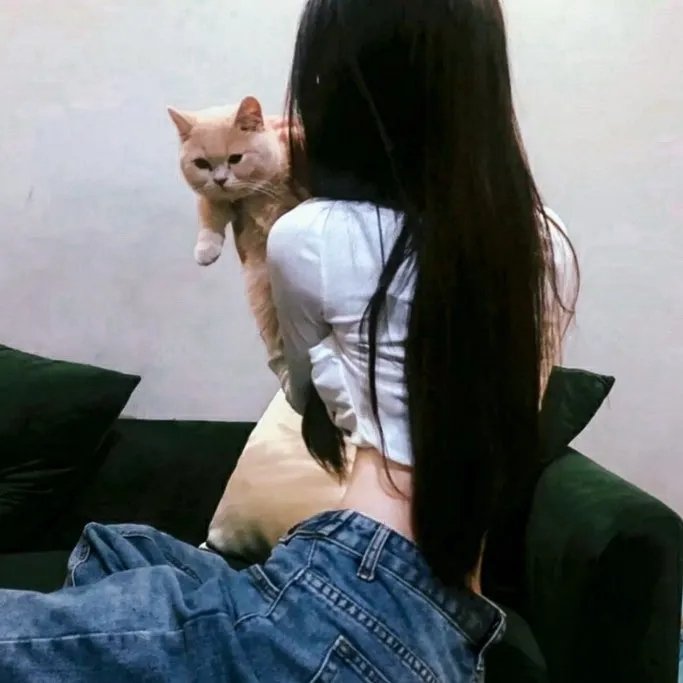 我家隔壁有贱狗